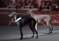 /album/dlya-kollektsii-prichyosok-haute-couture/estel-19-06-0507-jpg/